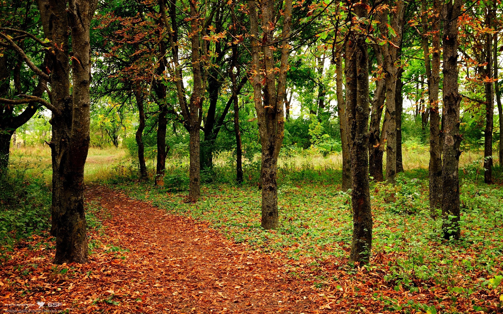 悬念丛生的史诗,哥斯达黎加冲垮贝蒂斯,梅西却打出统治级数据的夜晚