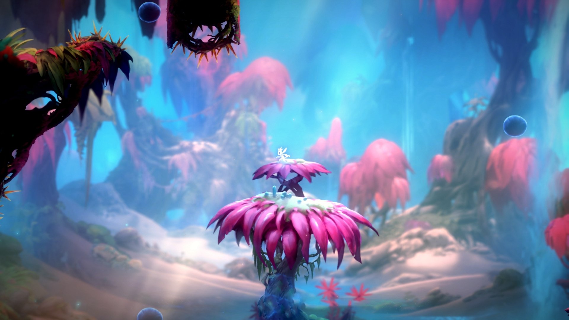 武切维奇末节觉醒!爵士撕裂鹈鹕防线迎关键胜利