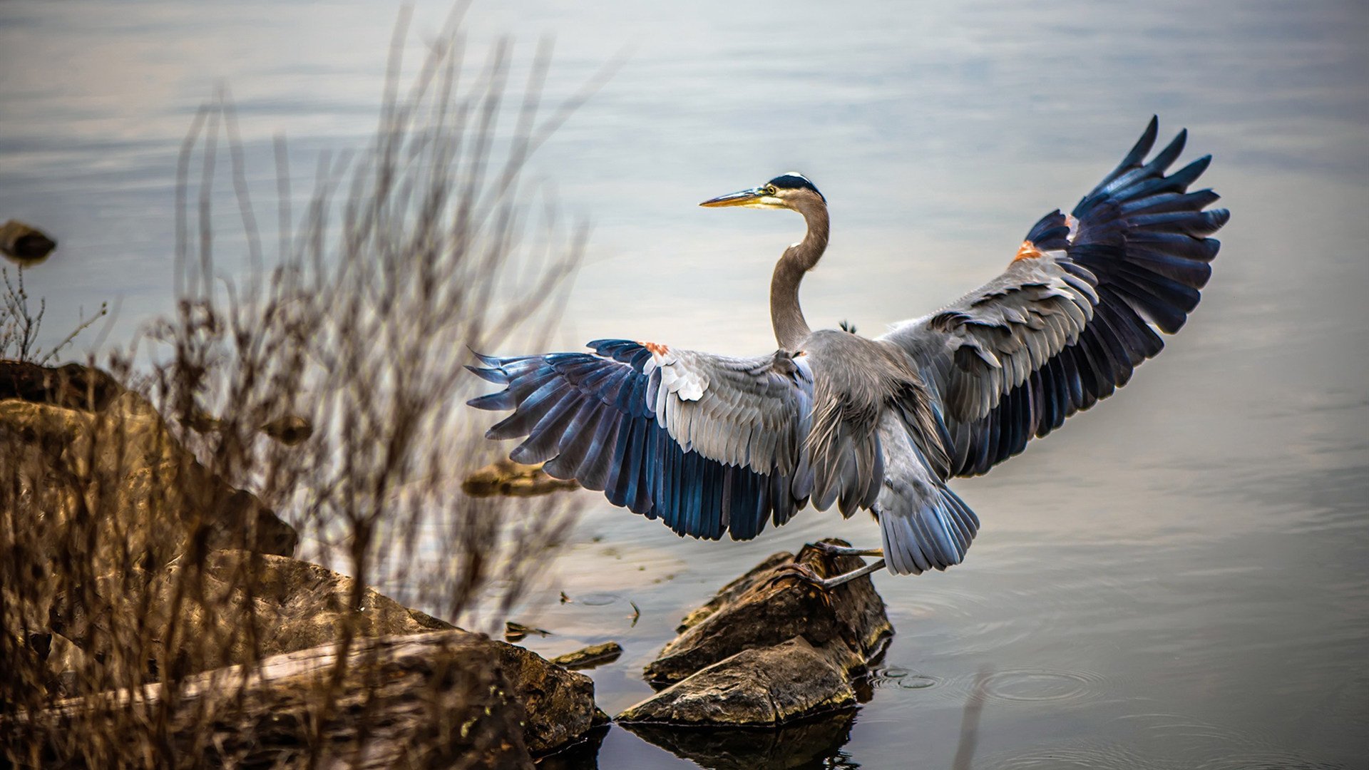 孤胆破夜,黄喜灿劈开西决生死局