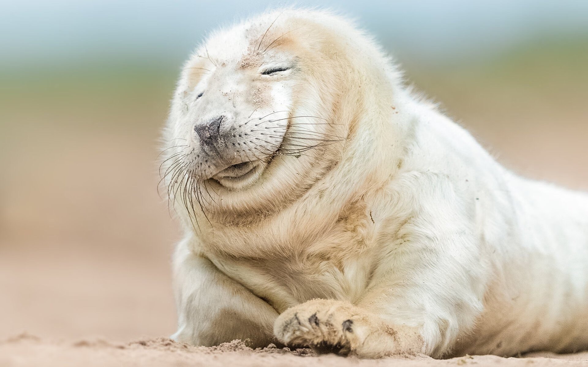 铁血与统帅，团队碾压与个人接管—现代足球的两种统治力