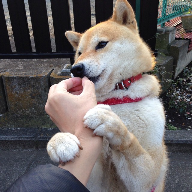 篮球之夜双响炮，吉林队逆转公牛展韧性，利拉德三分里程碑铸传奇