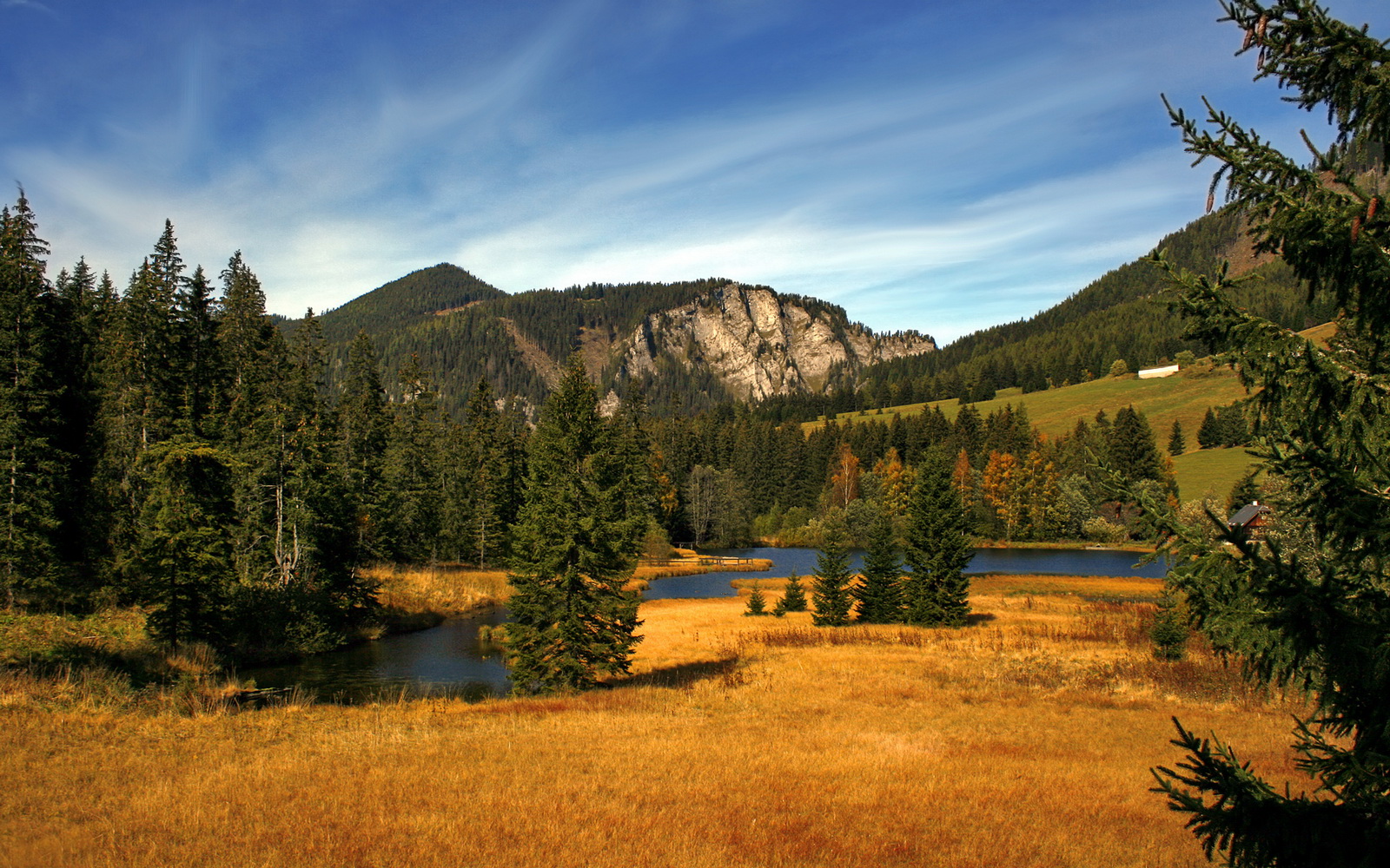 奥运前哨战，掘金矿工精神击碎开拓者，关键战役背后的国手试金石