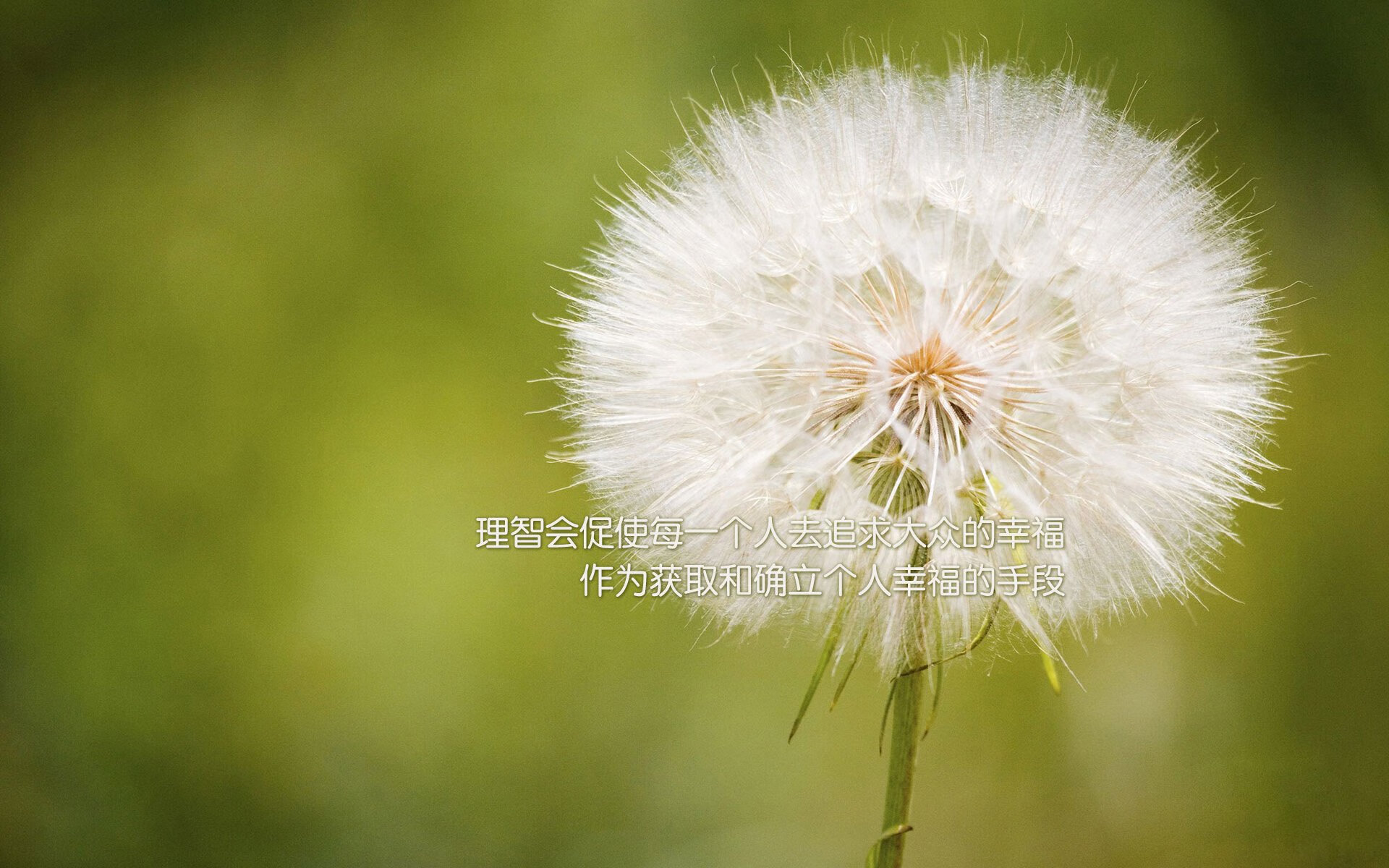 统治力时刻，从CBA到德甲，英雄独舞之日