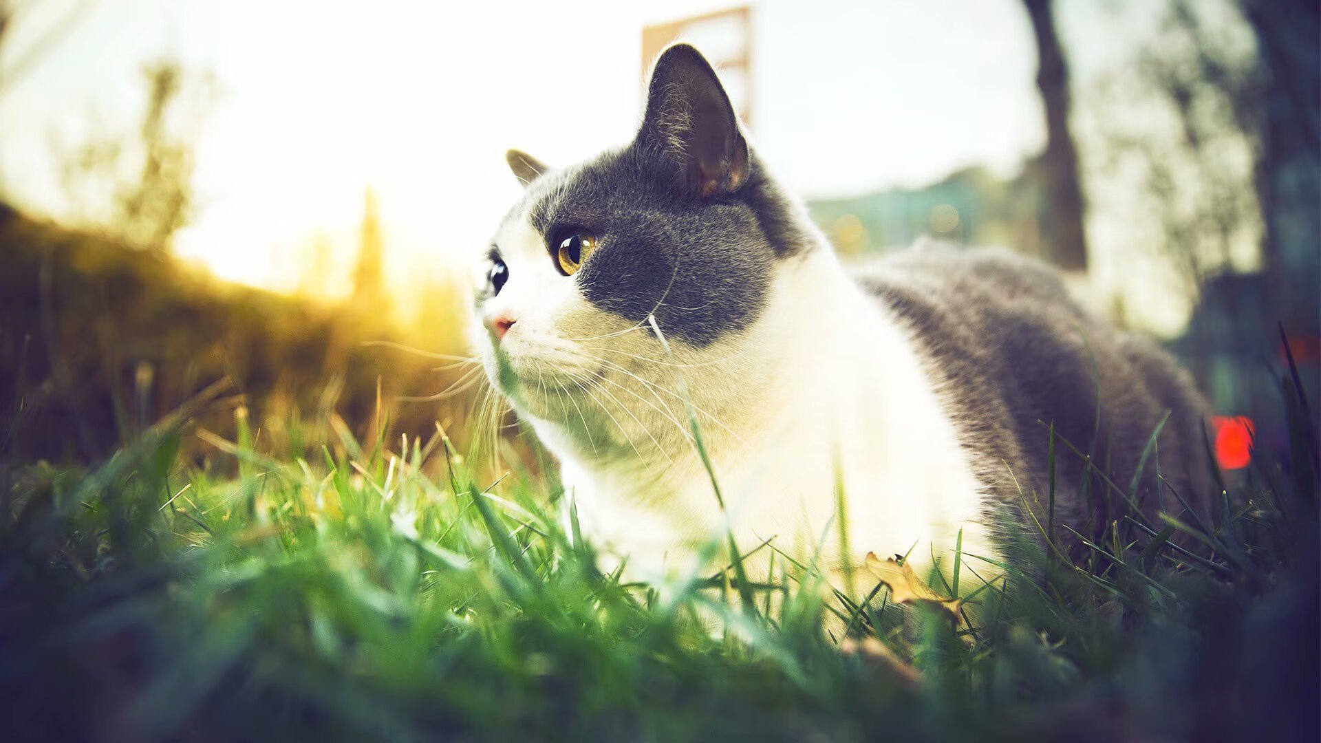 世纪之战，格纳布里帽子戏法难救主，国际米兰加时绝境破韩流