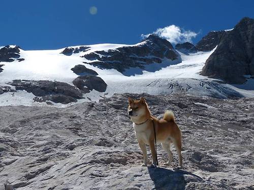 门将绝杀！奥纳纳补时头球改写意甲焦点战剧本
