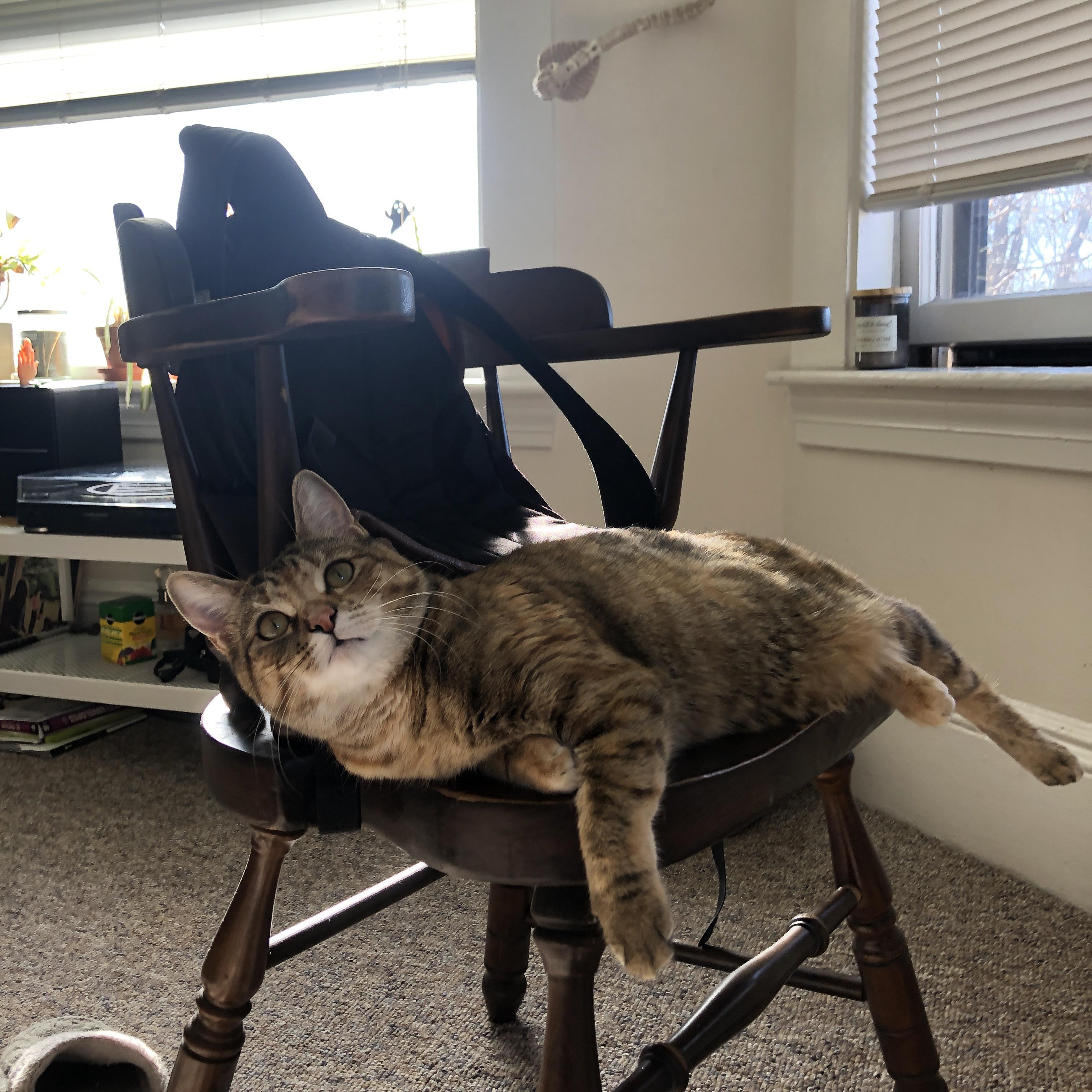 欧冠生死战，迪亚斯第88分钟一箭穿心，拜仁客场打穿沙特铁壁