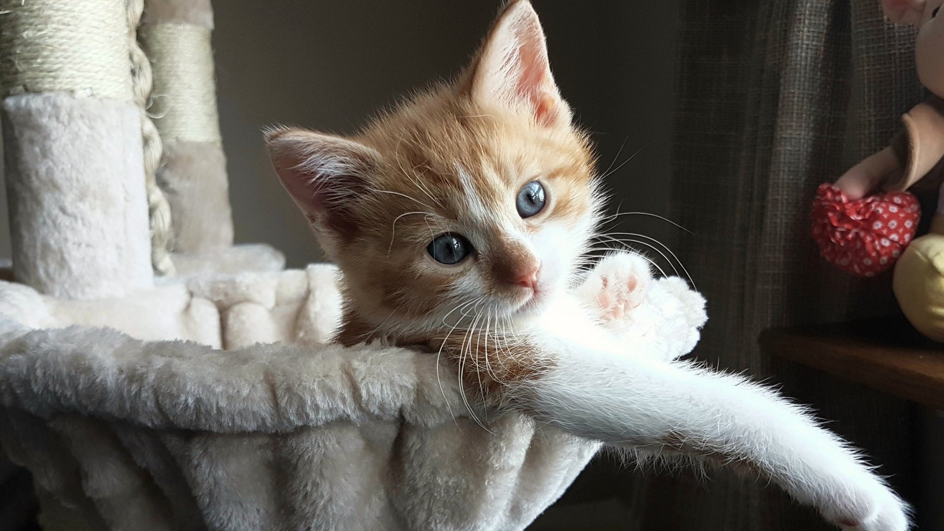 西甲烽火照南美，国家德比式对抗下，哥伦比亚如何完成对哥斯达黎加的全面压制