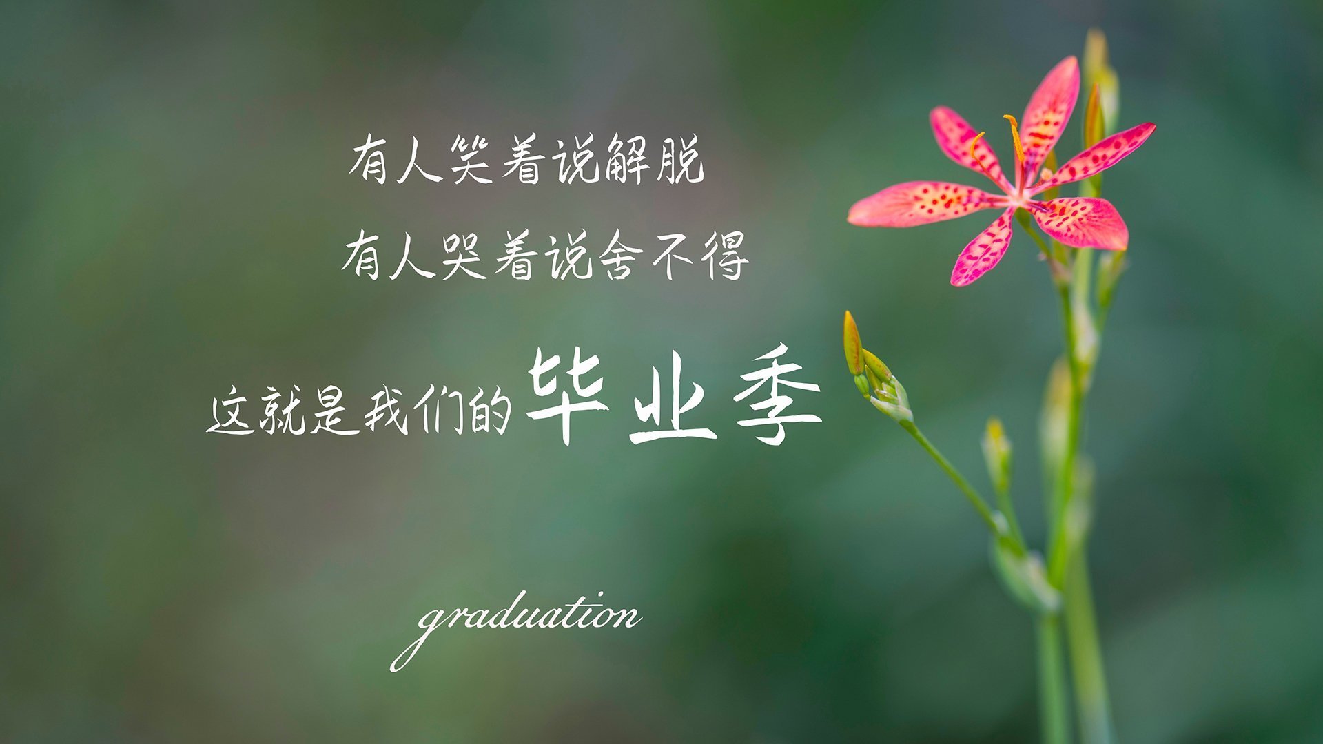 D组生死战,泰国逆转西班牙,归化悍将德容一战封神