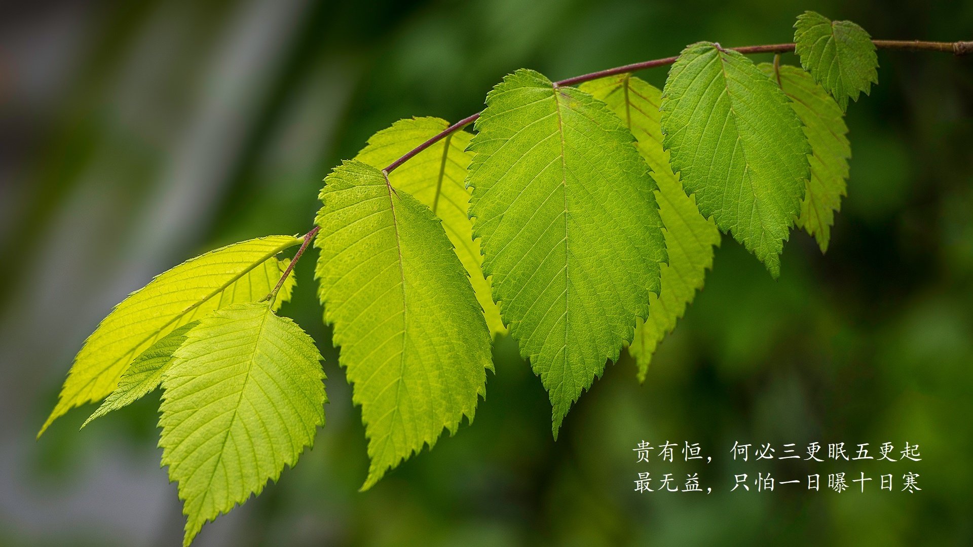 深度特稿死亡之组的双面剧本，当泰国奇迹撞上梅西的孤勇，D组在分裂中诞生唯一的神谕